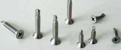 Incoloy 800HT Screws